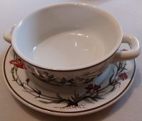 Villeroy & Boch Botanica 1 Suppentasse mit Untere, neuw., selten Hessen - Wiesbaden Vorschau