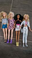 Barbie Set mit Zubehör Brandenburg - Bad Liebenwerda Vorschau