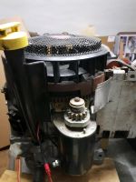 Motor  Briggs&Stratton 12,5 Rheinland-Pfalz - Speyer Vorschau