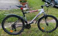 Corratec Freeride Deore 26 Zoll Sachsen - Augustusburg Vorschau