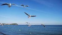 Ferienwohnung Ostsee Boltenhagen Sachsen-Anhalt - Magdeburg Vorschau