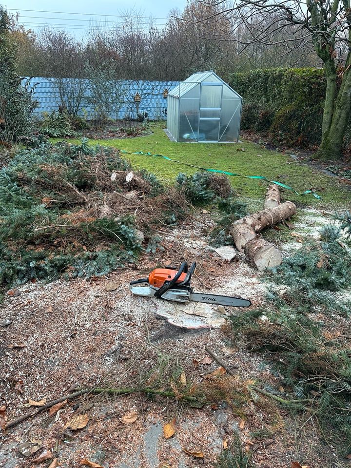 Gartenarbeiten, Pflaster, Baggern... uvm. Kostenlose Besichtigung in Hagen am Teutoburger Wald