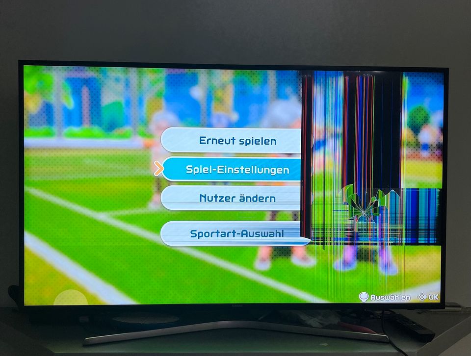 Fernseher Samsung LED 55 Zoll in Weißwasser