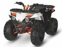 Kayo ATV 110 orange weiß Winterabverkaufspreis! Bielefeld - Stieghorst Vorschau