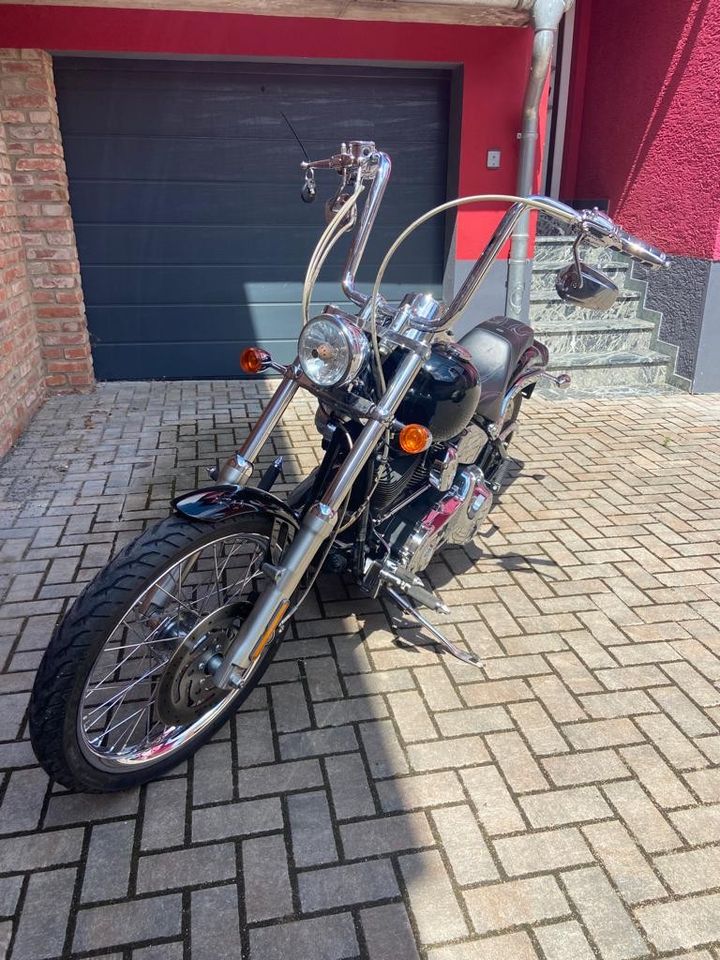 Harley Softail Custom in Maintal