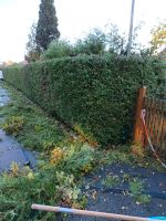 Gartenarbeiten,HeckenSchneiden-Entsorgung,Alte Bäume Kr. Passau - Passau Vorschau