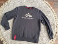 Alpha Pullover grau gr.L Nordrhein-Westfalen - Recklinghausen Vorschau