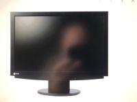 EIZO S2110W Monitor (sehr guter Zustand) Bayern - Krailling Vorschau