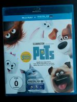 Pets Bluray Stuttgart - Sillenbuch Vorschau