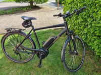 e-Bike, Stevens, Modell: E-Lavena Nordrhein-Westfalen - Bad Oeynhausen Vorschau