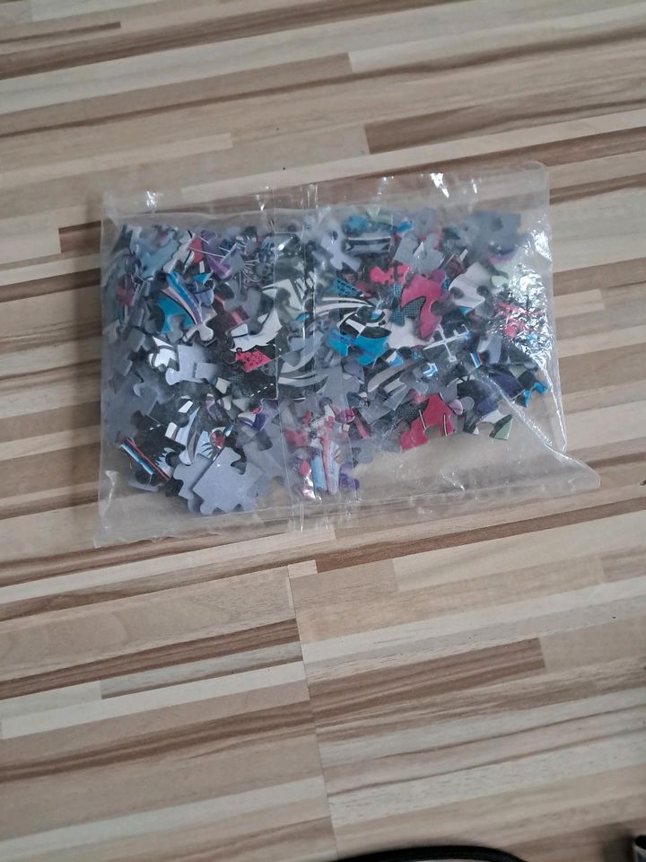 Monster High Puzzle in Schleswig