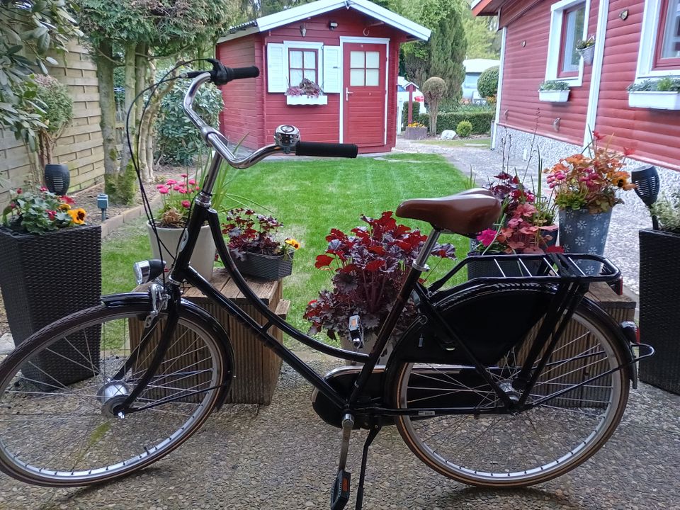 Gazelle Fahrrad Hollandrad Mädchen Bike Damenfahrrad in Dersau