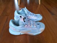 Jordan Basketballschuhe Schleswig-Holstein - Börnsen Vorschau