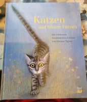 Katzen auf leisen Tatzen Buch Buch Schleswig-Holstein - Selk Vorschau