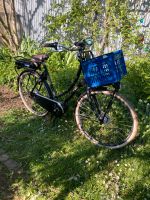 Stylisches E-Bike Cargo-Hollandrad Rheinland-Pfalz - Mainz Vorschau