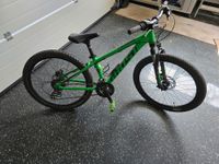 Mountainbike Kids Ghost Kato 20" grün, Scheibenbremsen Baden-Württemberg - Ingersheim Vorschau