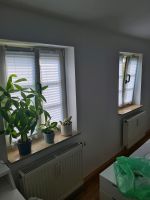 8 Plissees Home-Vision weiß, 25cm×90cm Thüringen - Erfurt Vorschau