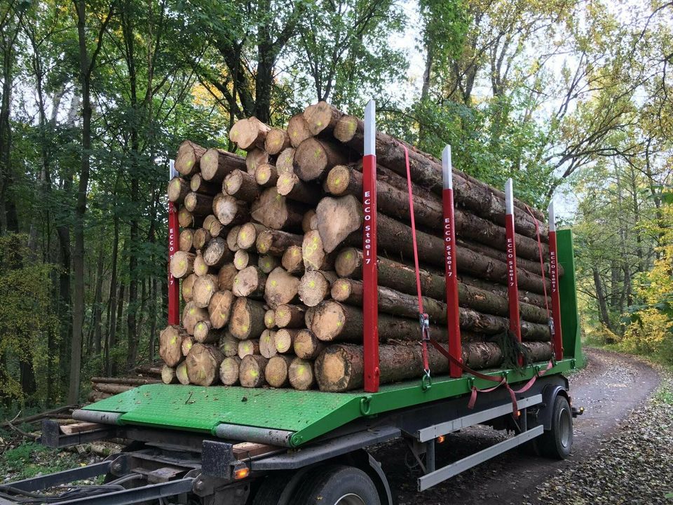 Abrollplattform für Holztransport in Halberstadt