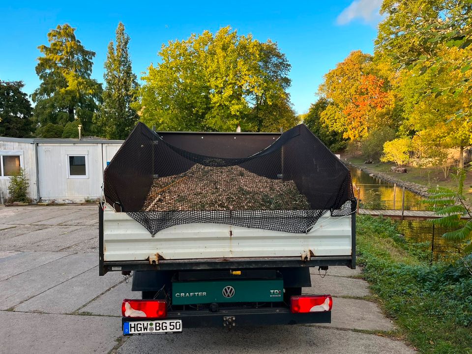 Fachgerechte Baumpflege, Baumfällungen, Baumkontrolle in Greifswald