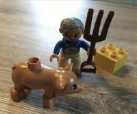 Lego Duplo 5643 Little Pig Bayern - Schweinfurt Vorschau
