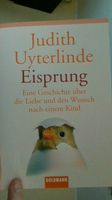 "Eisprung"       Judith Uyterlinde Sachsen - Dippoldiswalde Vorschau