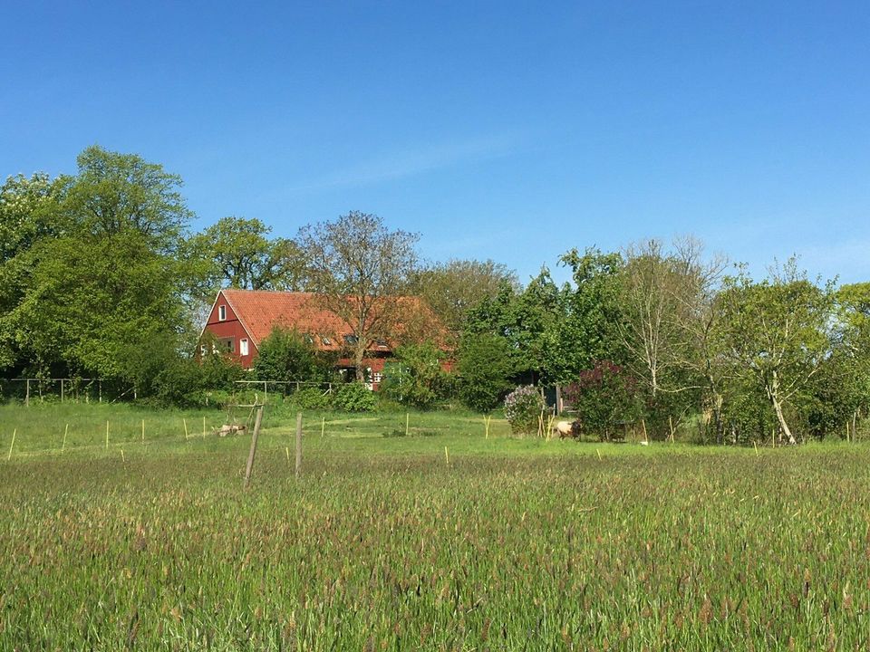 Großes Ferienhaus,Ostsee Nähe,ruhige Lage,Sauna,Whirlpool,Hund in Wangels