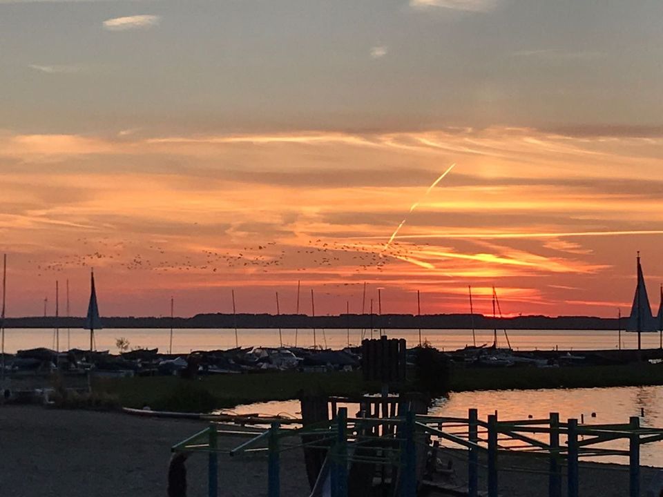 ‼️ 1. Reihe am STRAND Ferienhaus Holland Niederlande Strandhaus in Kreuztal