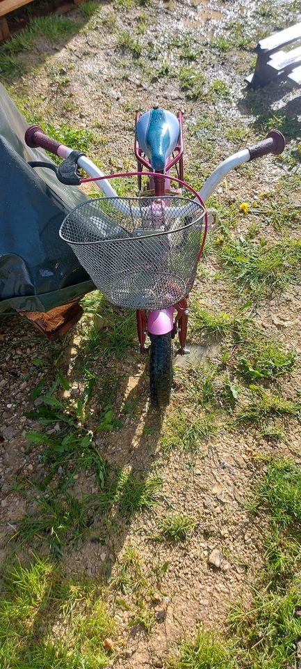 Kinder Fahrrad 12" in Adelschlag