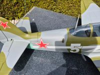 YAK 11  AMX Flight Bayern - Reckendorf Vorschau