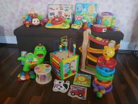 Vtech Fisher Price Hape Eichhorn Pintoy Spielzeug Lernspielzeug Sachsen - Taura Vorschau