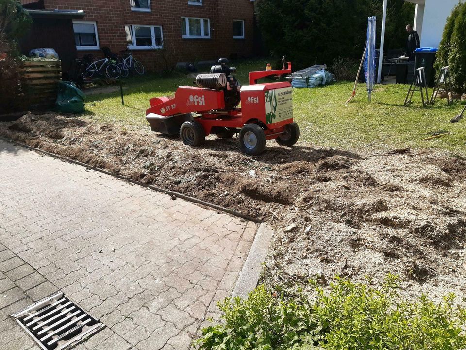 Vertikutierer Rasenlüfter Rasenwalze Baumaschinen  Rüttelplatten in Bad Driburg