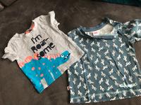 2er t-Shirt B.O WirbelWind Dino Gr 74 Thüringen - Erfurt Vorschau