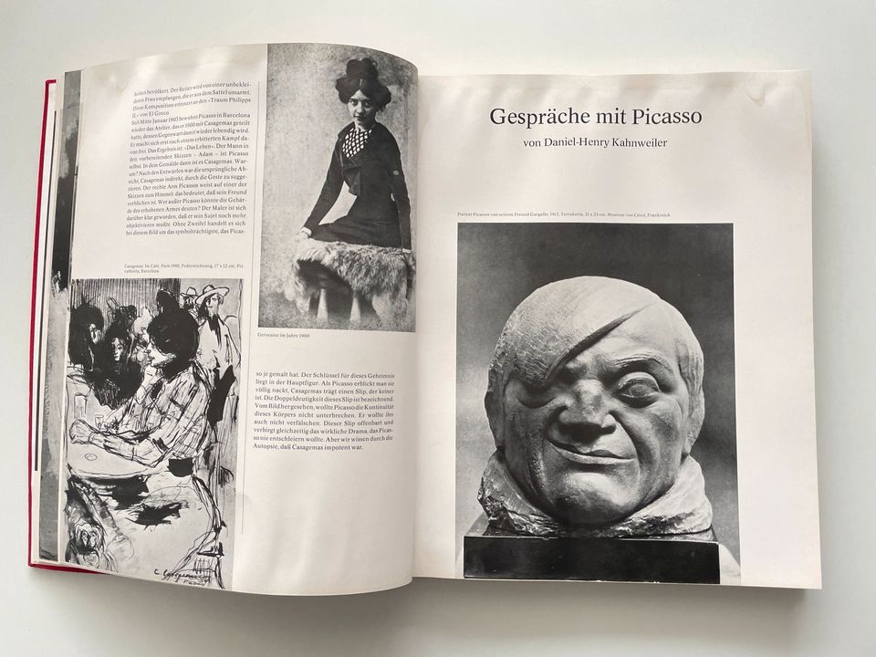 Hommage a Pablo Picasso Buch Bild Kunst in Hamburg