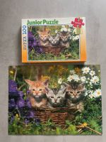 Puzzle Kinderspiele Junior Katzenbabys neuwertig! Nordrhein-Westfalen - Remscheid Vorschau