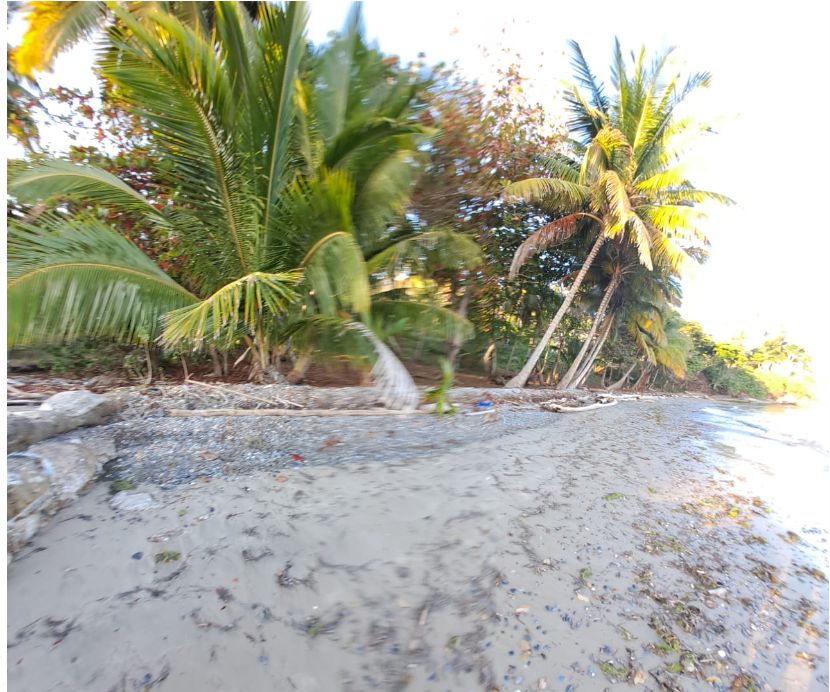 Grundstück am Strand Samana Dominikanische Republik in Albstadt