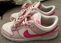 Nike Dunks Sachsen-Anhalt - Oschersleben (Bode) Vorschau