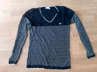 Dunkelblauer Pullover Lacoste L Dresden - Seevorstadt-Ost/Großer Garten Vorschau