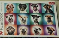 2000 Teile: Lustige Hundeportraits Puzzle, Trefl, Hundeporträts Hessen - Offenbach Vorschau