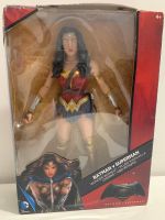 Dc comics multiverse Batman v Superman Wonder Woman Frankfurt am Main - Bockenheim Vorschau