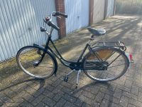 Gazelle Impala Damenrad Hollandrad 28“ Brooks Sattel Nordrhein-Westfalen - Telgte Vorschau