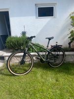 Bergamont Kiez Fun 26 Zoll Fahrrad Mountainbike MTB 42cm Baden-Württemberg - Leonberg Vorschau