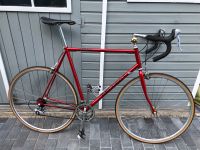 Rennrad Peugeot Catania Exklusiv Modell in Rot zu verkaufen Brandenburg - Großbeeren Vorschau