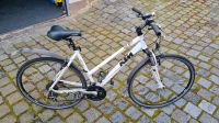 KTM Crossbike für Damen Sachsen-Anhalt - Seegebiet Mansfelder Land Vorschau