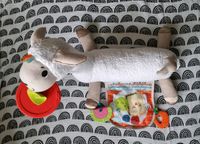 Baby Spielzeug Fisher Price Lama Bauchlage üben Nordrhein-Westfalen - Lippstadt Vorschau