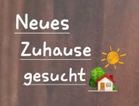 Wohnung oder Haus zur Miete Schleswig-Holstein - Neumünster Vorschau