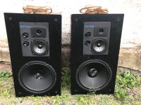 Lautsprecher Omni Audio Sound System Hessen - Groß-Gerau Vorschau