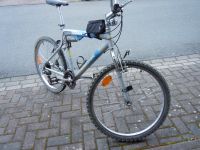 Mountainbike Fully Rheinland-Pfalz - Winden Rhein-Lahn-Kreis Vorschau