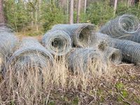 Wildschutzzaun gebraucht Brandenburg - Löwenberger Land-Grüneberg Vorschau