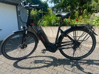 E-Bike Pegasus Bosch ActiveLine Plus  500Wh mit -TOP- Nordrhein-Westfalen - Recklinghausen Vorschau