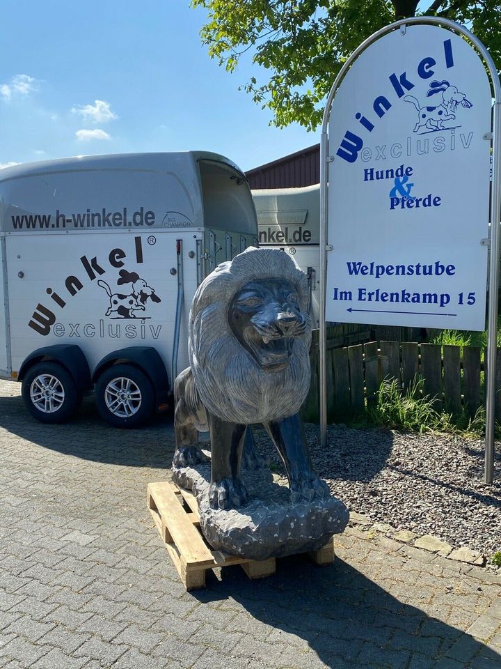 Deko Pferde Lebensgroß aus Blaustein oder Granit in Dorsten